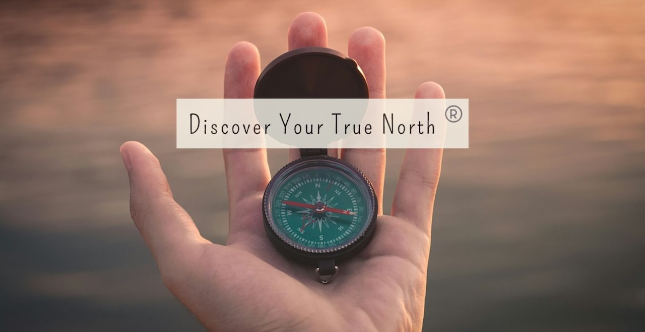 Compass Contact Contact – Yogi Compass